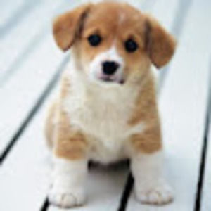 Meet your Posher, Ana